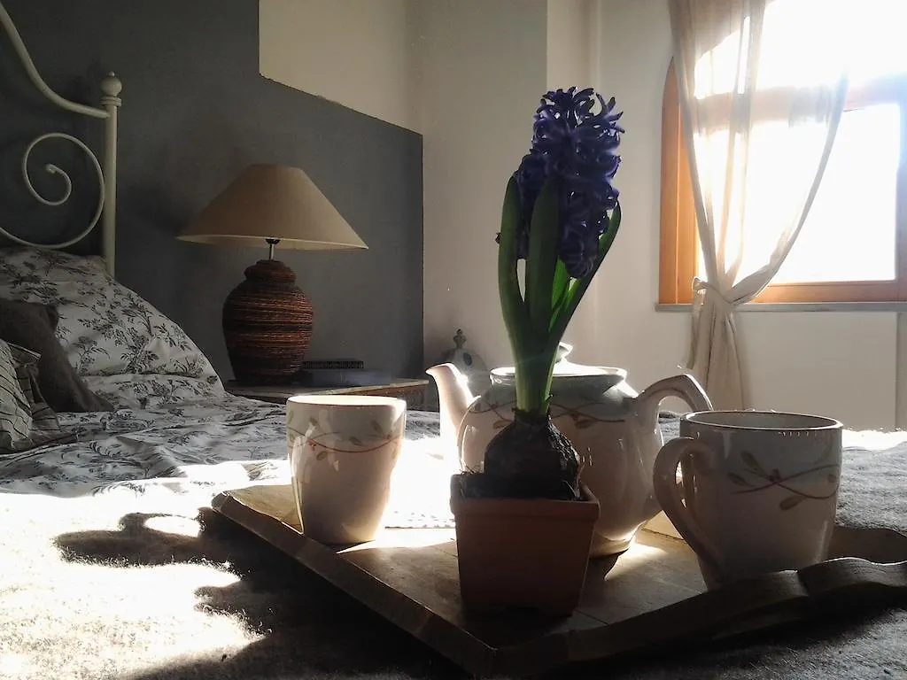 Il Pettirosso B&B Certosa di Pavia