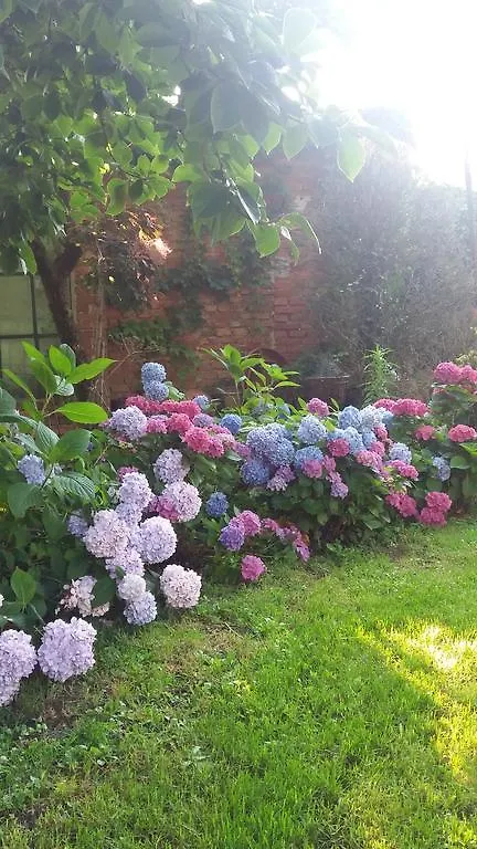 Bed & Breakfast Il Pettirosso B&B Certosa di Pavia